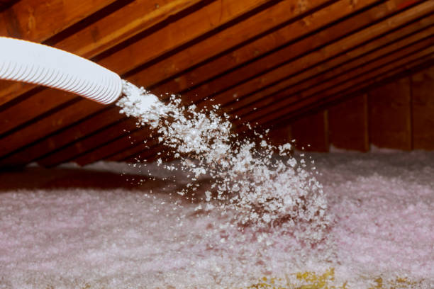 Best Spray Foam Insulation in El Monte, CA