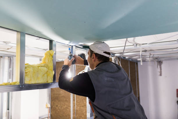 Best Eco-Friendly Insulation in El Monte, CA