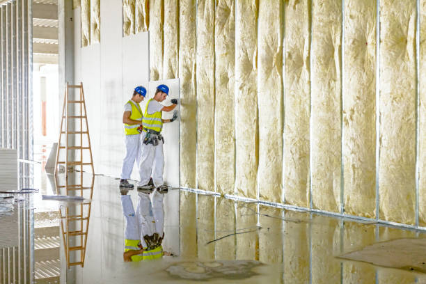Best Cellulose Insulation in El Monte, CA
